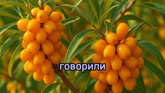 Она потеряла голос после одного разговора. А потом встала с колен и выгнала с работы того, кто её … смотреть онлайн