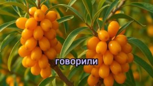 Она потеряла голос после одного разговора. А потом встала с колен и выгнала с работы того, кто её …
