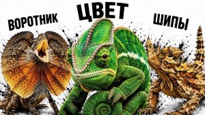 Все ящерицы за 8 минут