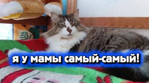 Прикольная озвучка ! Я у мамы самый-самый!