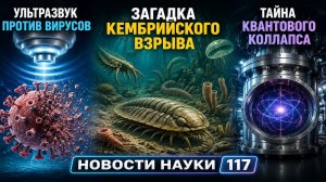 Ультразвук против вирусов, Загадка Кембрийского взрыва и тайна квантового коллапса