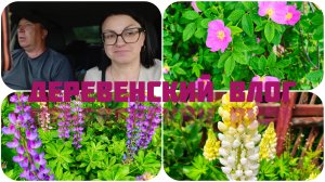НЕ ПОГОДА, НЕ ПОМЕХА 😁 УЕХАЛИ В ДЕРЕВНЮ НА ВЫХОДНЫЕ🌺🌼🏵️