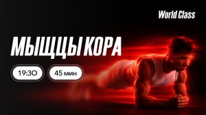 МЫШЦЫ КОРА с Еленой Жиляевой | 9 июня 2026 | Онлайн-тренировки World Class