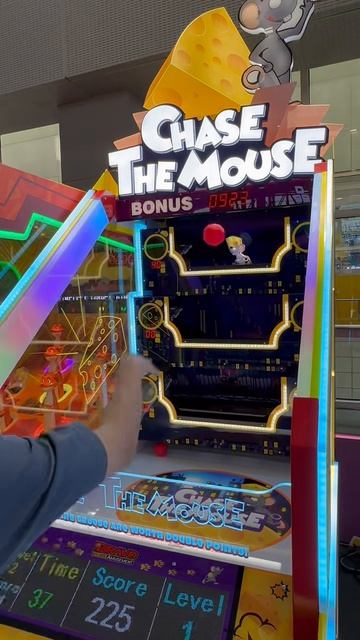 Chase the mouse