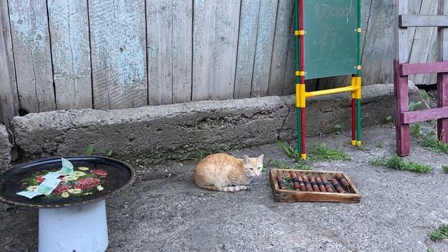 Мешок золото на всех