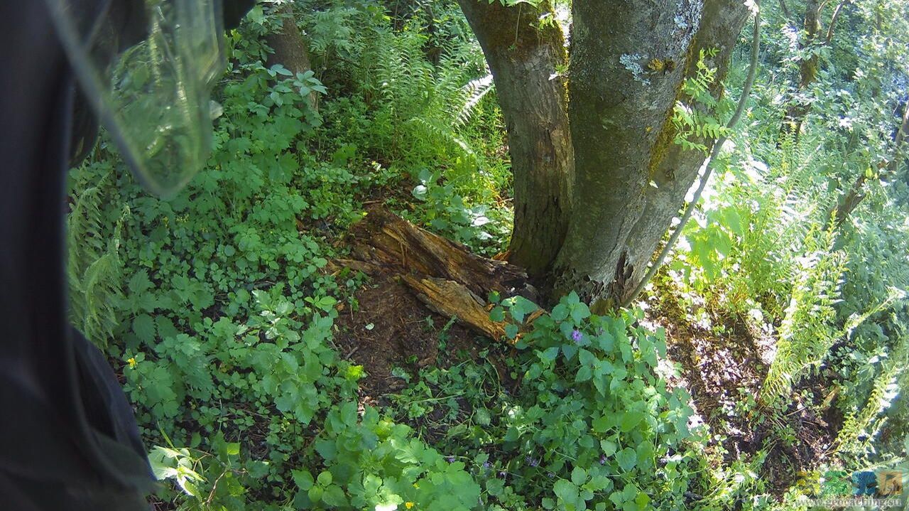 Мотопоездка 23.05.2026. Восстановление тайника Истринское водохранилище