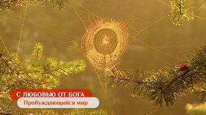 Пробуждающийся мир | С любовью от Бога