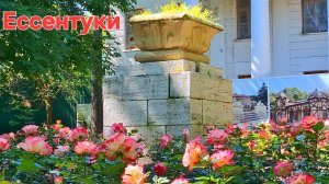 Ессентуки Курортный парк 08-06-2026