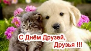 Код доступа: ДРУЗЬЯ. Самая лучшая музыкальная открытка.