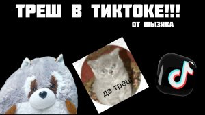 История о треше в тик токе от мистера шызика