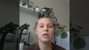 Виды алиментов