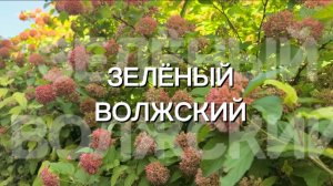 Волжский. Лето начинается✅