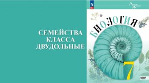 Урок 17. Семейства класса двудольные