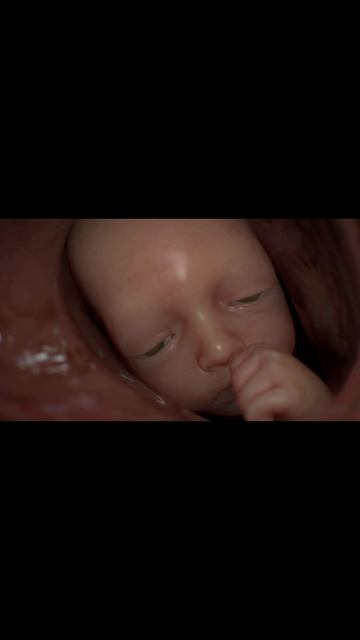 Death Stranding 2: On the Beach ТВАРЬ УБИВАЕТ СЭМА ПРИНОСЯ ЕМУ НЕВЫНОСИМЫЕ БОЛЬ И СТРАДАНИЯ смотреть онлайн