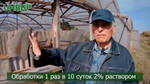 ГУМИРЕАКТОР , ГУМИСТОК , БИОПРЕПАРАТ ДЛЯ ПИТАНИЯ И ЗАЩИТЫ РАСТЕНИЙ.2