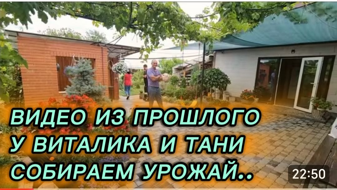 САМВЕЛ АДАМЯН, ВИДЕО ИЗ ПРОШЛОГО, У ВИТАЛИКА И ТАНИ СОБИРАЕМ УРОЖАЙ.. смотреть онлайн
