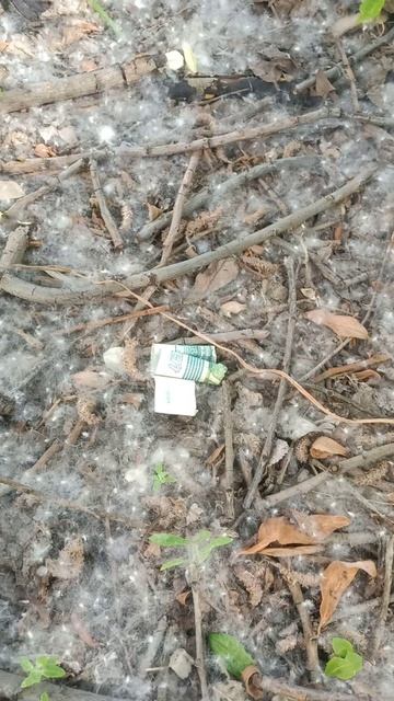 Не поднимайте найденные деньги и чужие деньги на улице. Рассказываю: Почему нельзя поднимать деньги