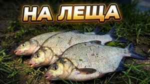 За лещом. Рыбалка на реке Чарыш