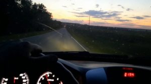 6.06.26. первый рой в этом году. счёт открыт . ждём следующих 👍🏻👍🏻👍🏻👍🏻👍🏻👍🏻