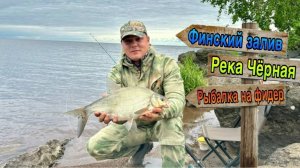 И снова рыбалка на Чёрной речке. Зеленогорск. Посёлок Молодёжное