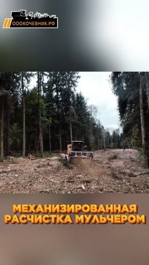 Механизированная расчистка участков от древесно-кустарниковой растительности