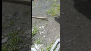 моя первое видео