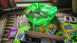 Обновление дровника, приятная прогулка и подарки от подруги
