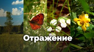 Отражение | С любовью к русской природе