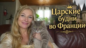 Графиня на минималках. Сад, кот и бесконечные дела.