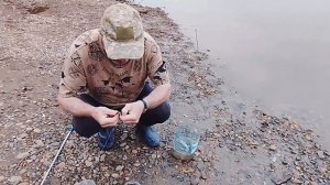 приехали за Колосом, а там нас ждали хорошие окуни с сорогами!