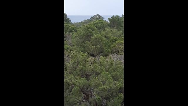 Вид на Средиземное море из нашего номера