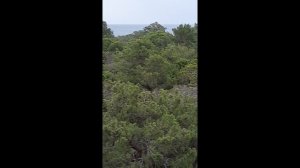 Вид на Средиземное море из нашего номера