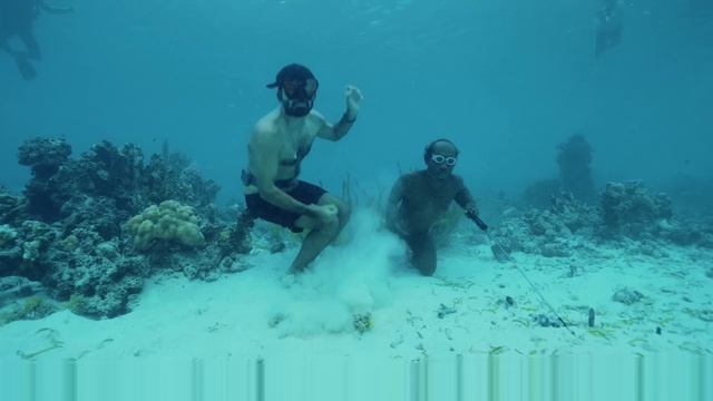 Индонезийское племя, которое ЖИВЁТ в воде