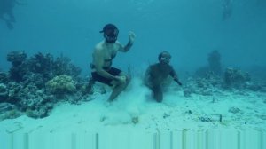 Индонезийское племя, которое ЖИВЁТ в воде