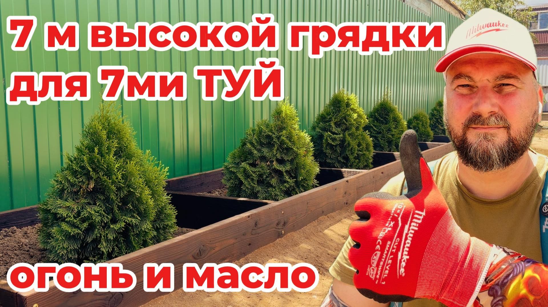 Высокая грядка 7 метров 7 туй | Огонь + масло = на века!!!