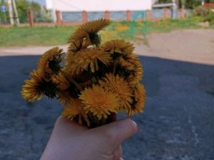 Новый стрим ураааа