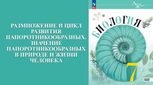 Урок 11. Размножение и цикл развития папоротникообразных