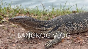 bangkok vlog: замедлить шаг, прогулка в парке