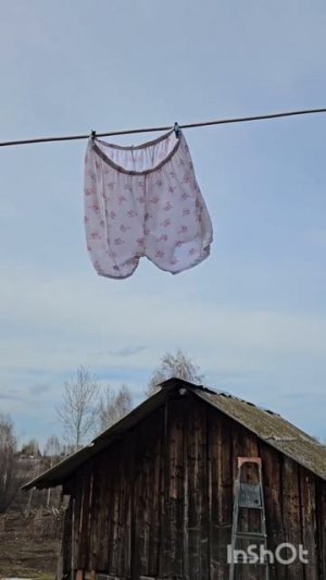 дорога
