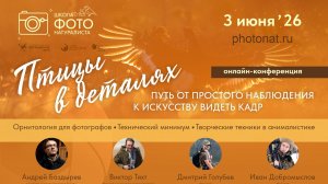 Запись эфира «Птицы в деталях: путь от простого наблюдения к искусству видеть кадр».