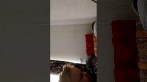 ШОК У МЕНЯ ЗАПЛЕЛАСЬ КОЛГОТИНА В КОСИЧКУ🫪🫪🫪