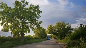 Влог / 05-07.06.2026 / Поездка в лес, прогулка