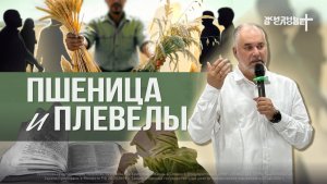 ПШЕНИЦА И ПЛЕВЕЛЫ | 07.06.2026 | ВОСКРЕСНОЕ БОГОСЛУЖЕНИЕ