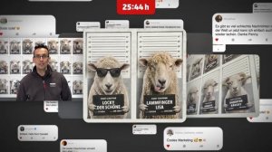 sheep in a shop