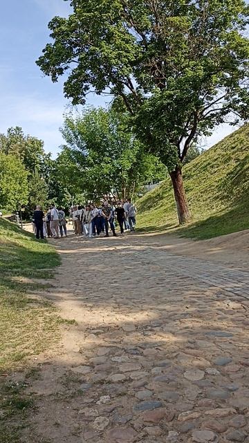 Художник Елизарэ и олимпийский Мишка. 6 серия. Дом Месье Фантомаса