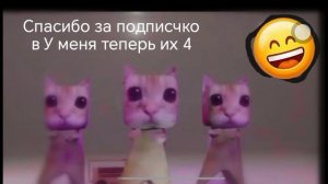 Спасибо за подписчиков