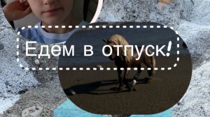 Уехала в Турцию!//награждение//собираю рюкзак//