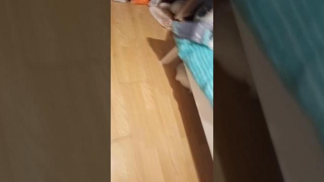 влог смотреть онлайн