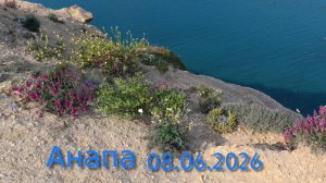 Анапа 08.06.2026