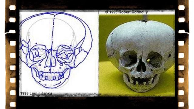 Удлинённые черепа ! смотреть онлайн